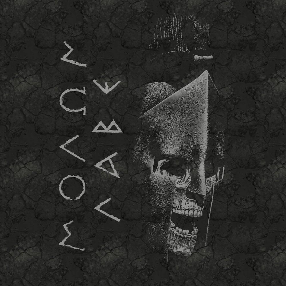 Driver Skin - Skulls