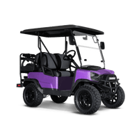 Hex Electric Purple Golf Cart Wraps