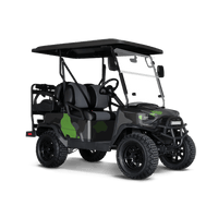Cumulus Metro Green Golf Cart Wraps