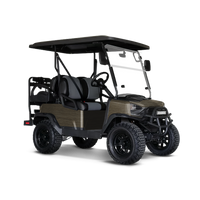 Woodgrain Bango Golf Cart Wraps