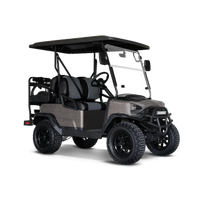 Woodgrain Lagos Golf Cart Wraps