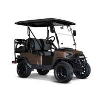 Woodgrain Recife Golf Cart Wraps