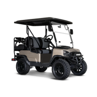 Woodgrain Stockholm Golf Cart Wraps