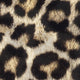 Animal Print Leopard