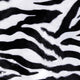 Animal Print Zebra