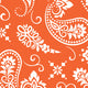 Bandana Orange & White