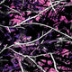 Muddy Girl Original