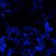 Skull Blue