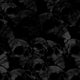 Skull Grayscale