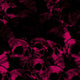 Skull Magenta