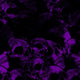 Skull Purple