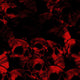 Skull Red