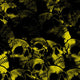 Skull Yellow