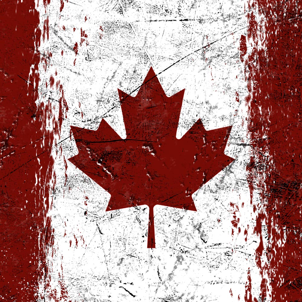 Driver Skin - International Flags