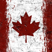 Driver Skin - International Flags
