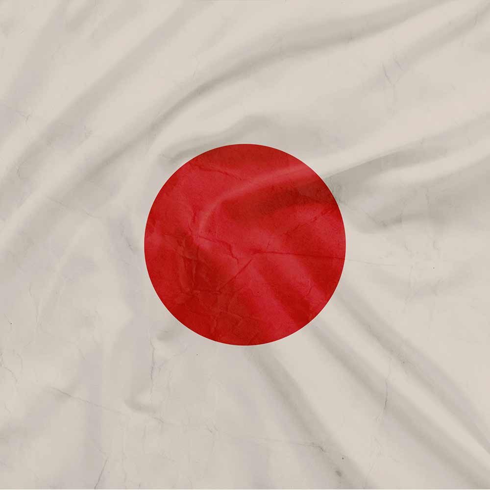 Driver Skin - International Flags
