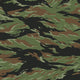 Vietnam Tiger Stripe